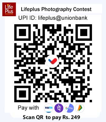 QR Code for Payment