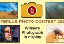 🎉 Lifeplus Photo Contest 2025 – Winners Announcement 🎉
