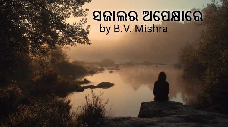 odiya poem by BV Mishra