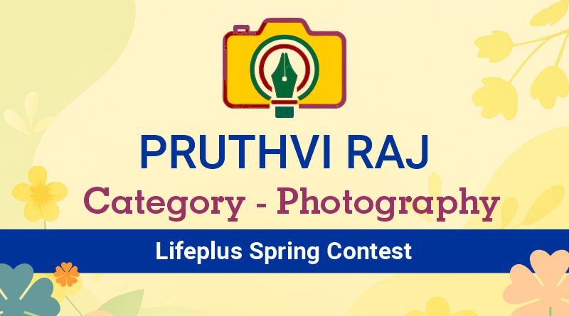 Pruthvi Raj– Spring Contest – Photography