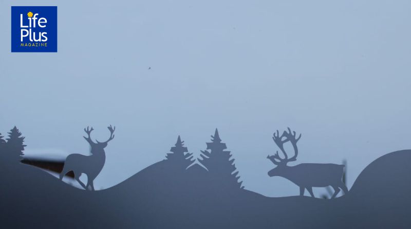 A Winter Sojourn at Montebello in Quebec, Canada