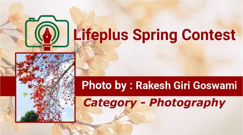 Rakesh Giri Goswami – Spring Photo Entry